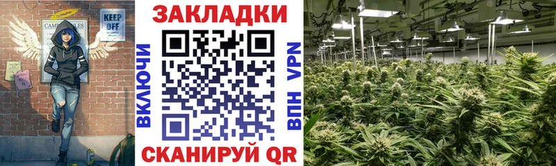 Сколько стоит Ижевск Бошки Шишки  Мефедрон  Амфетамин  ГАШ 