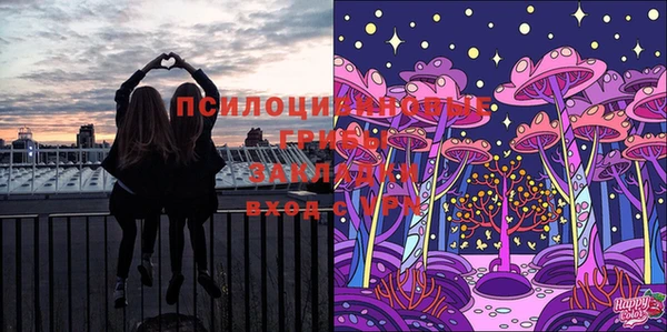 спайс Алексеевка