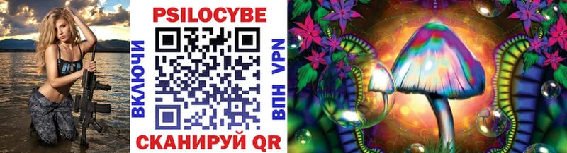 Псилоцибиновые грибы Psilocybe  Ижевск 