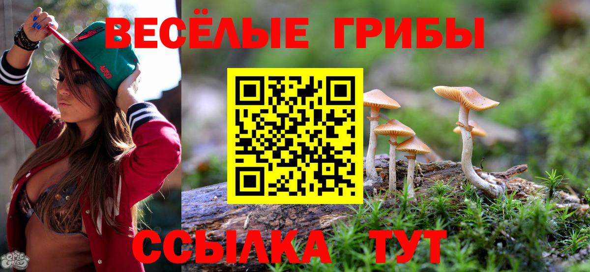 Галлюциногенные грибы Psilocybe Ижевск