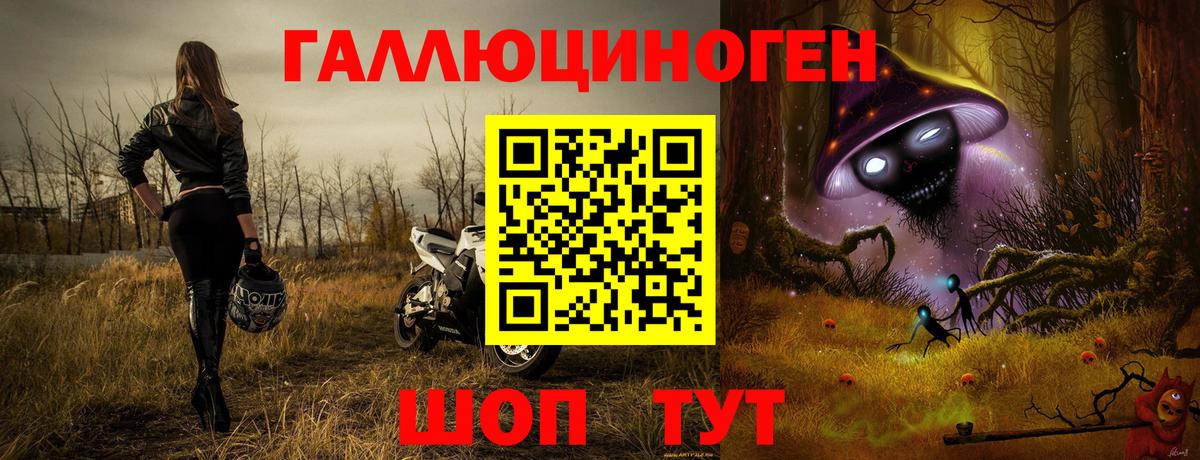Ижевск  Галлюциногенные грибы Psilocybine cubensis  Вход с VPN 